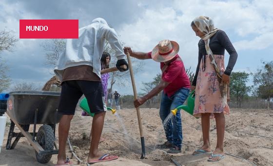Calor mortal: Relatório aponta alta vulnerabilidade de trabalhadores na Colômbia