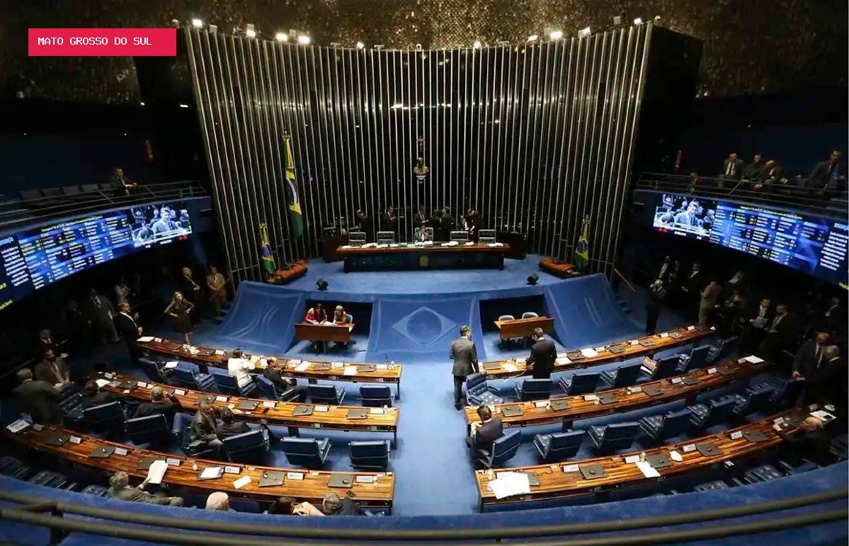 Eleições 2026: conheça o perfil dos candidatos ao Senado