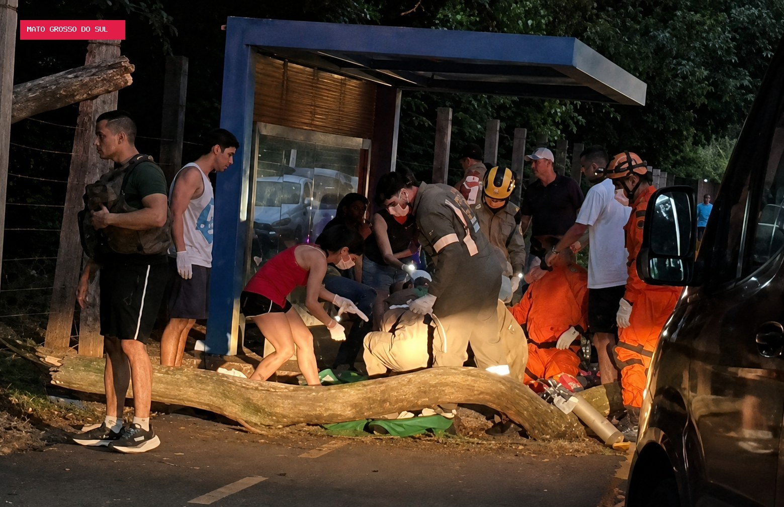 Jovem em patinete morre ao ser atingida por árvore no Parque dos Poderes