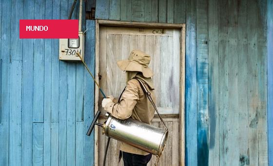 Dia Internacional do Mosquito mobiliza ciência e sociedade contra epidemias