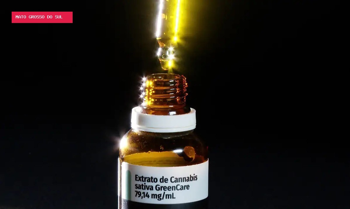 Autorizações para importação de cannabis aumentam 29% em 2026