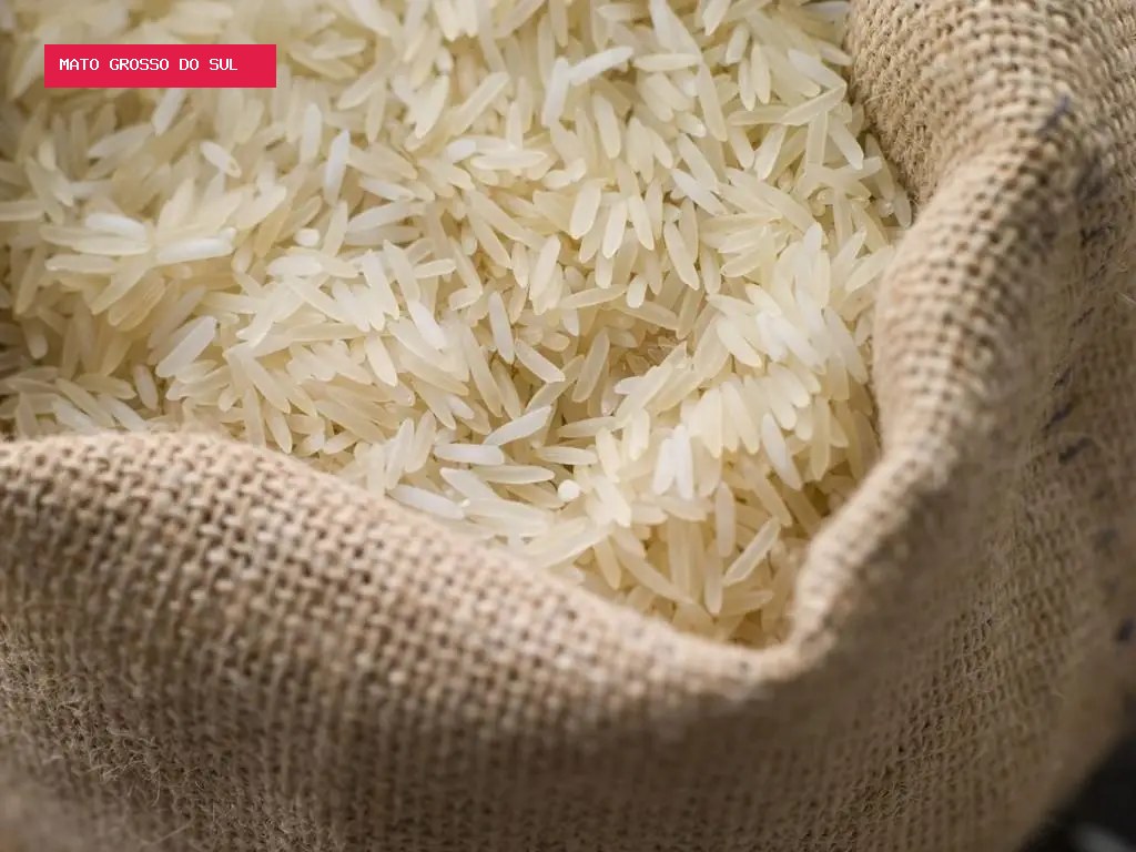 Brasil envia 19 toneladas de arroz à Colômbia após terremoto que matou mais de 300