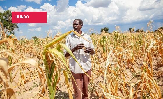 Mais quente e húmido, El Niño reforça chuvas no extremo leste de África