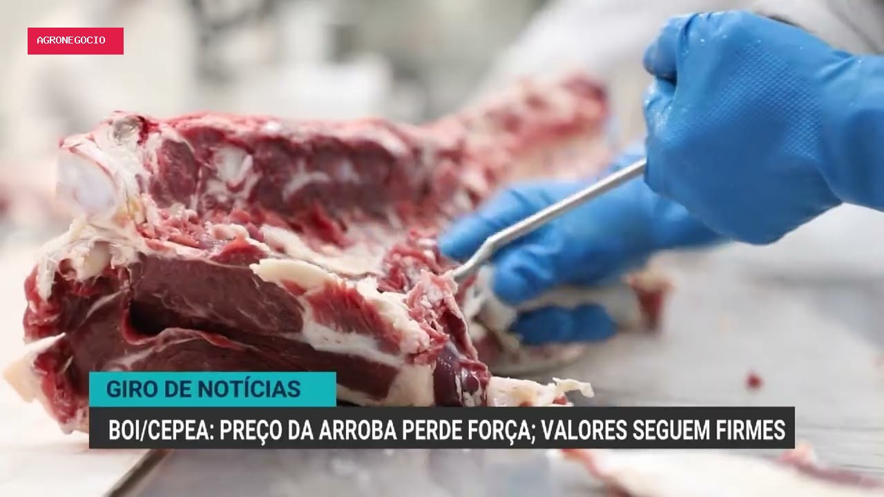 Abiove projeta aumento nas exportações de farelo de soja em 2026