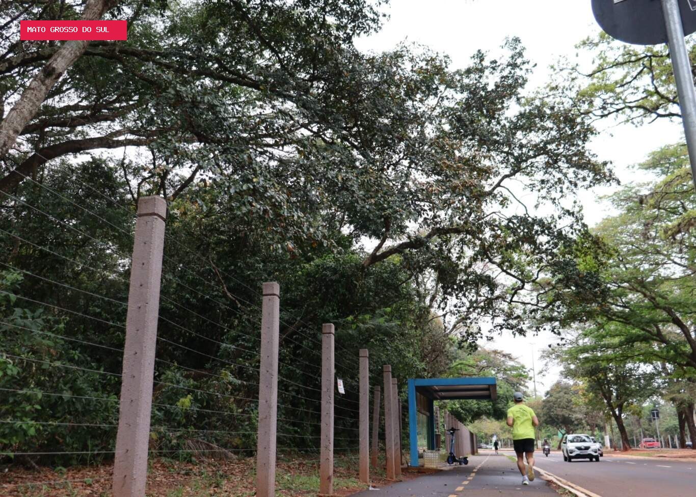 Após morte de jovem, frequentadores apontam galhos com risco de cair