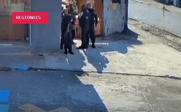 Moraes dá 30 dias para PGR opinar sobre plano de reocupação de territórios do RJ na ADPF das Favelas