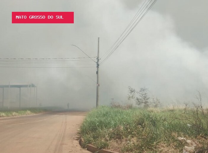 Quase 30% dos incêndios em vegetação do ano ocorreram em 19 dias de agosto