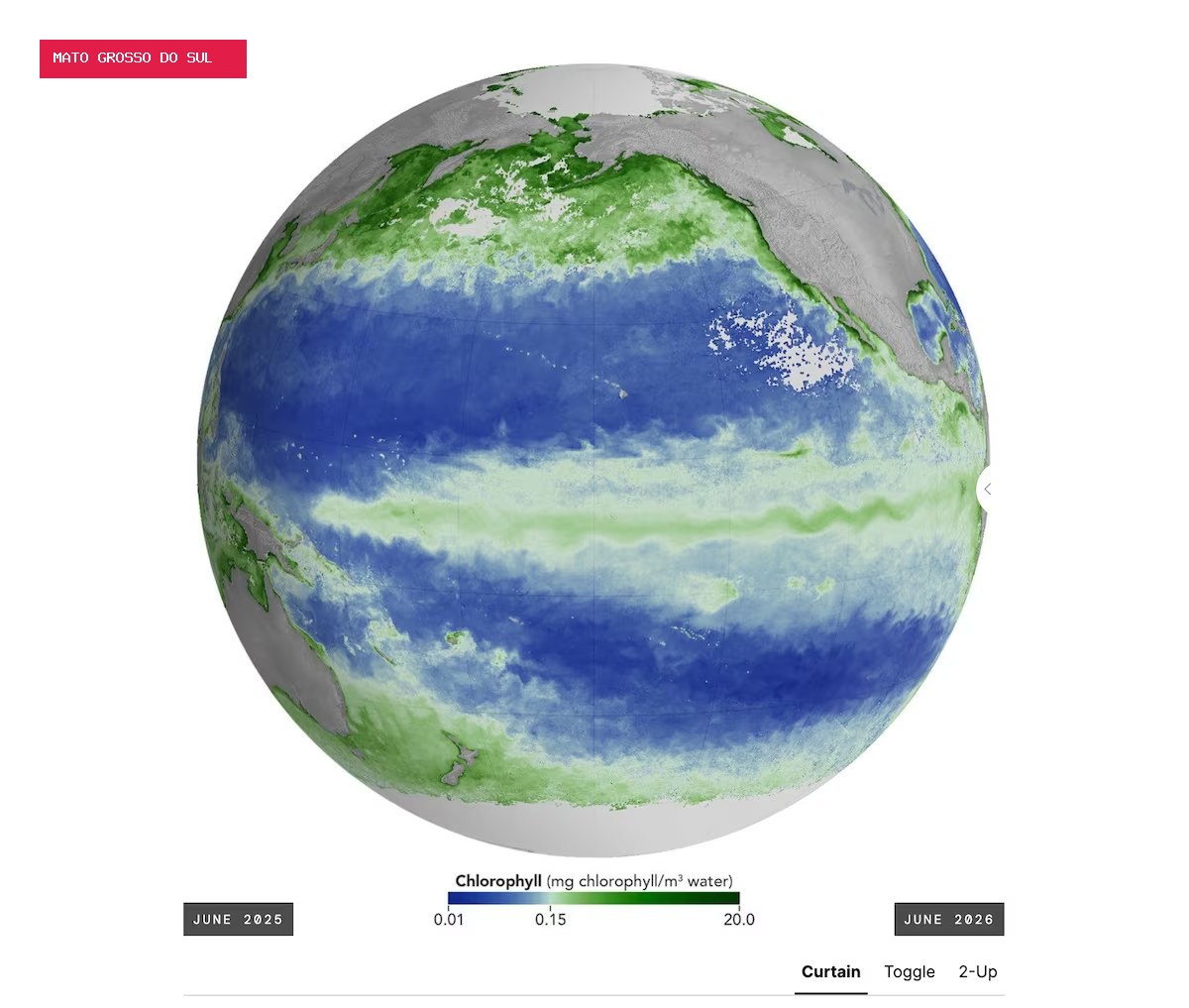 Imagens da Nasa mostram queda de fitoplâncton no Pacífico durante El Niño