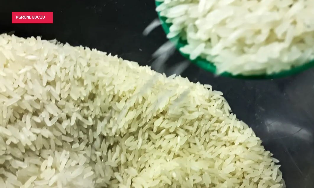 Produtores retraídos e chuvas limitam oferta de arroz