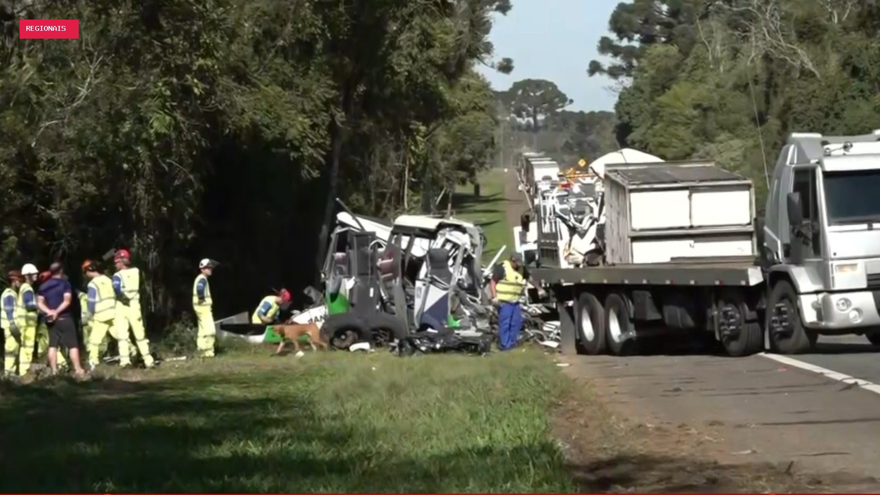 Acidente com 23 mortos e 5 feridos no PR: PRF diz que caminhão invadiu pista contrária e bateu de frente