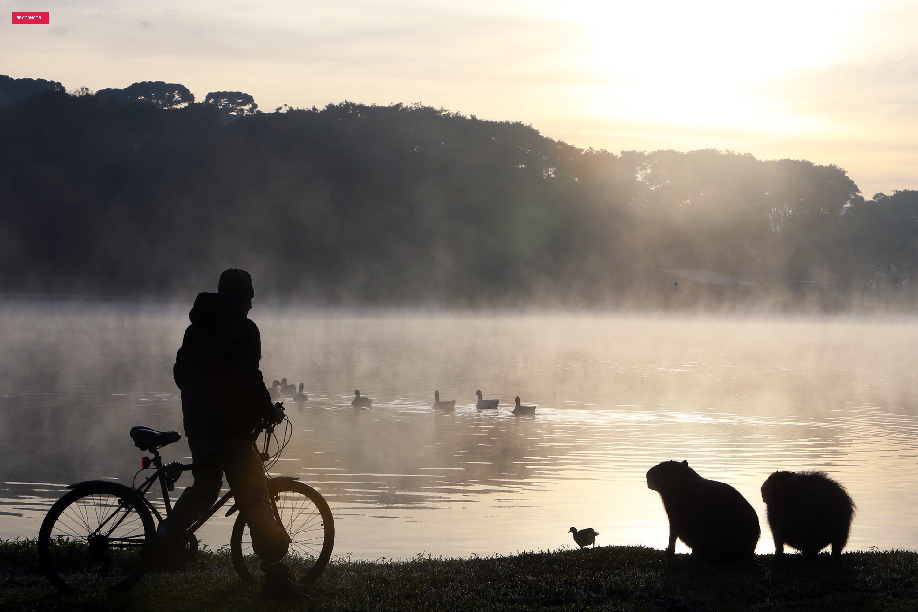 Paraná tem queda de temperatura e mínima invertida após período de veranico