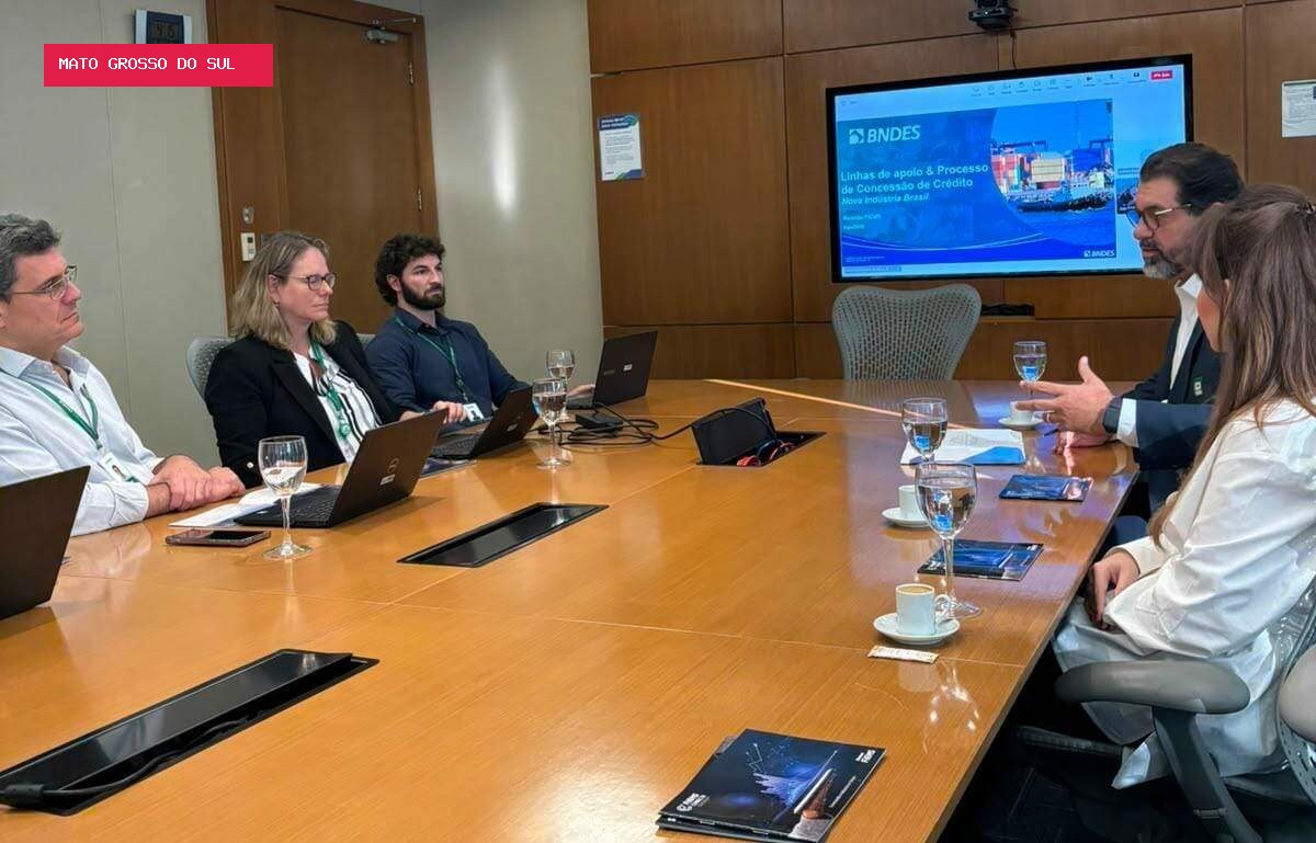 Fiems firma parceria com BNDES para ampliar acesso da indústria de MS a financiamentos