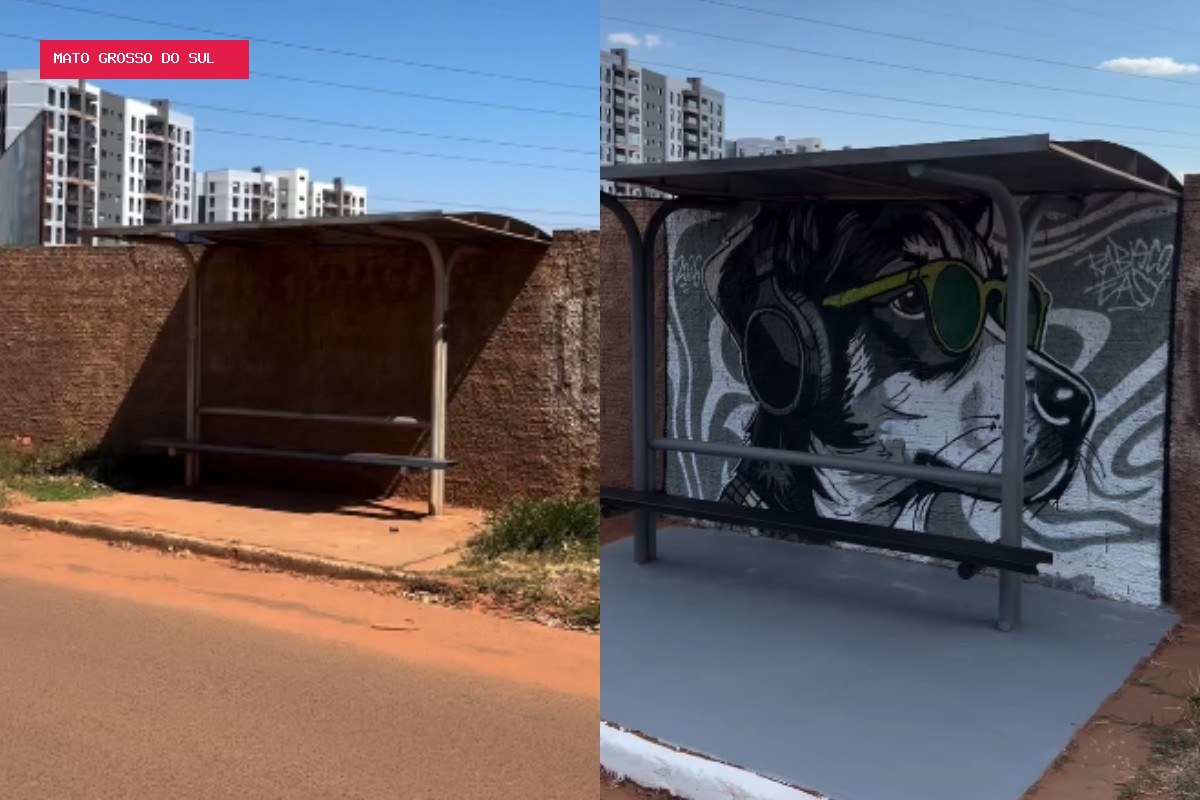 Antes tomado pelo mato, ponto de ônibus vira galeria de arte a céu aberto em Campo Grande