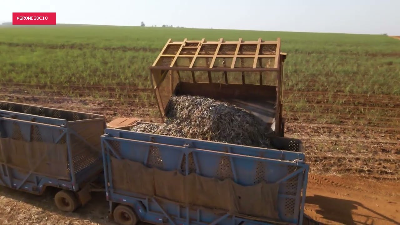 Empresas do agronegócio têm até 31 para informar investimentos e reduzir impostos