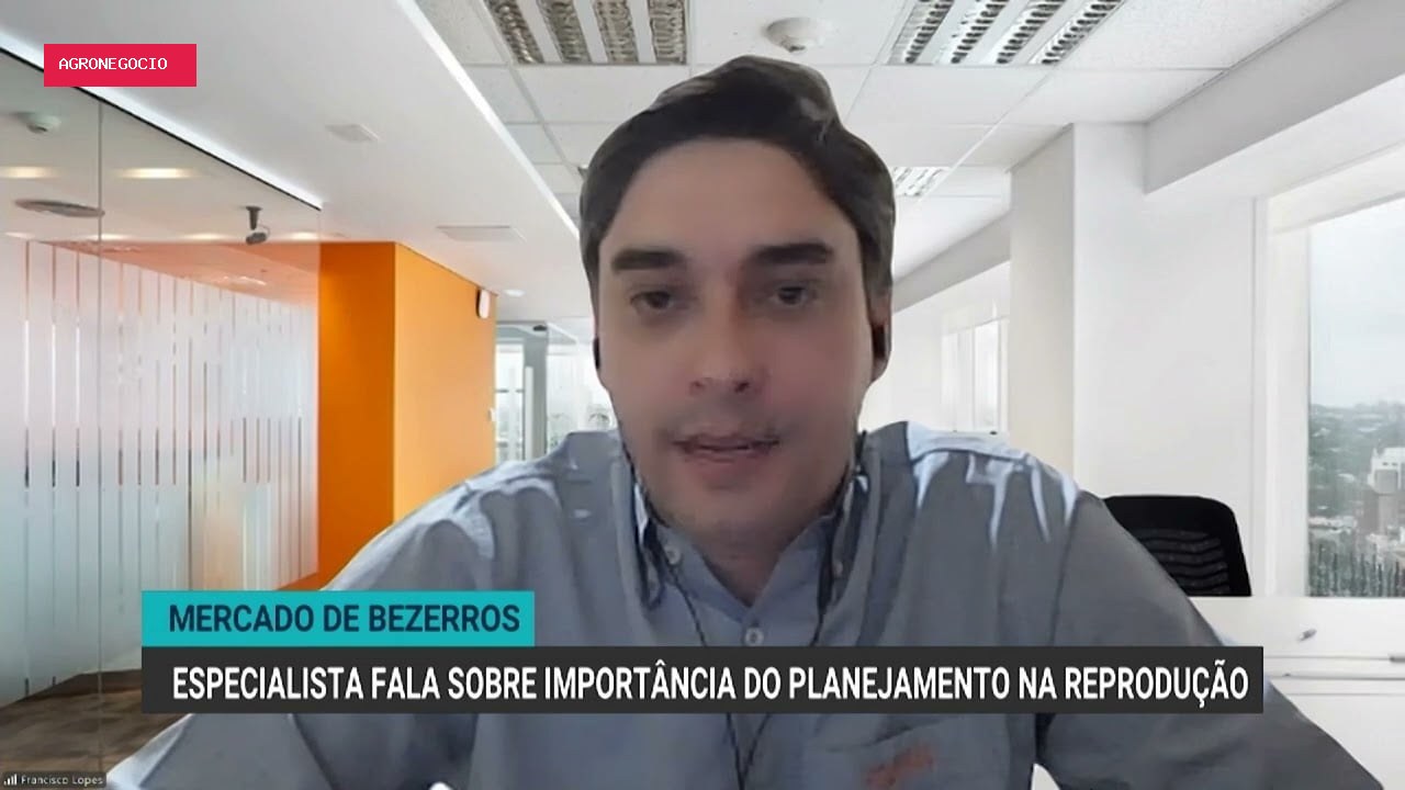 Mercado de bezerros em alta exige planejamento na reprodução