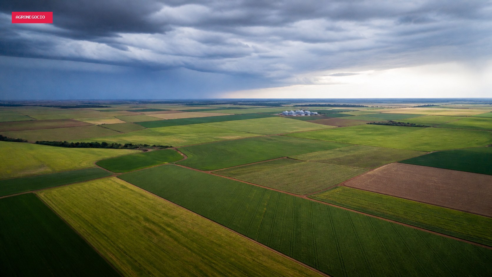 Área de soja no Brasil deve ter em 2026/27 a menor expansão em 20 anos, diz Datagro