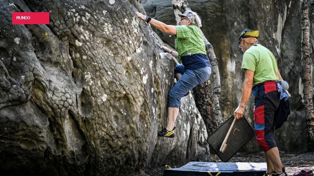 Fontainebleau forest near Paris reopens after devastating wildfire