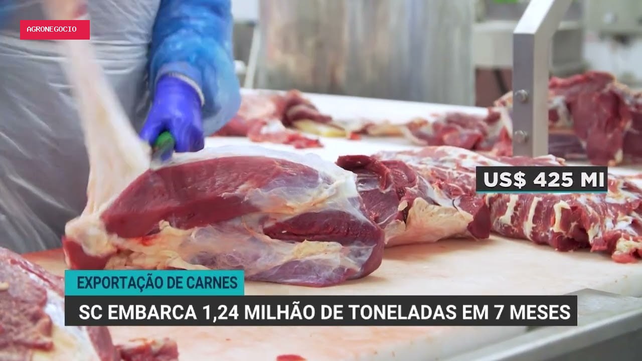 Santa Catarina registra recorde de 1,24 milhão de toneladas em exportações de carnes