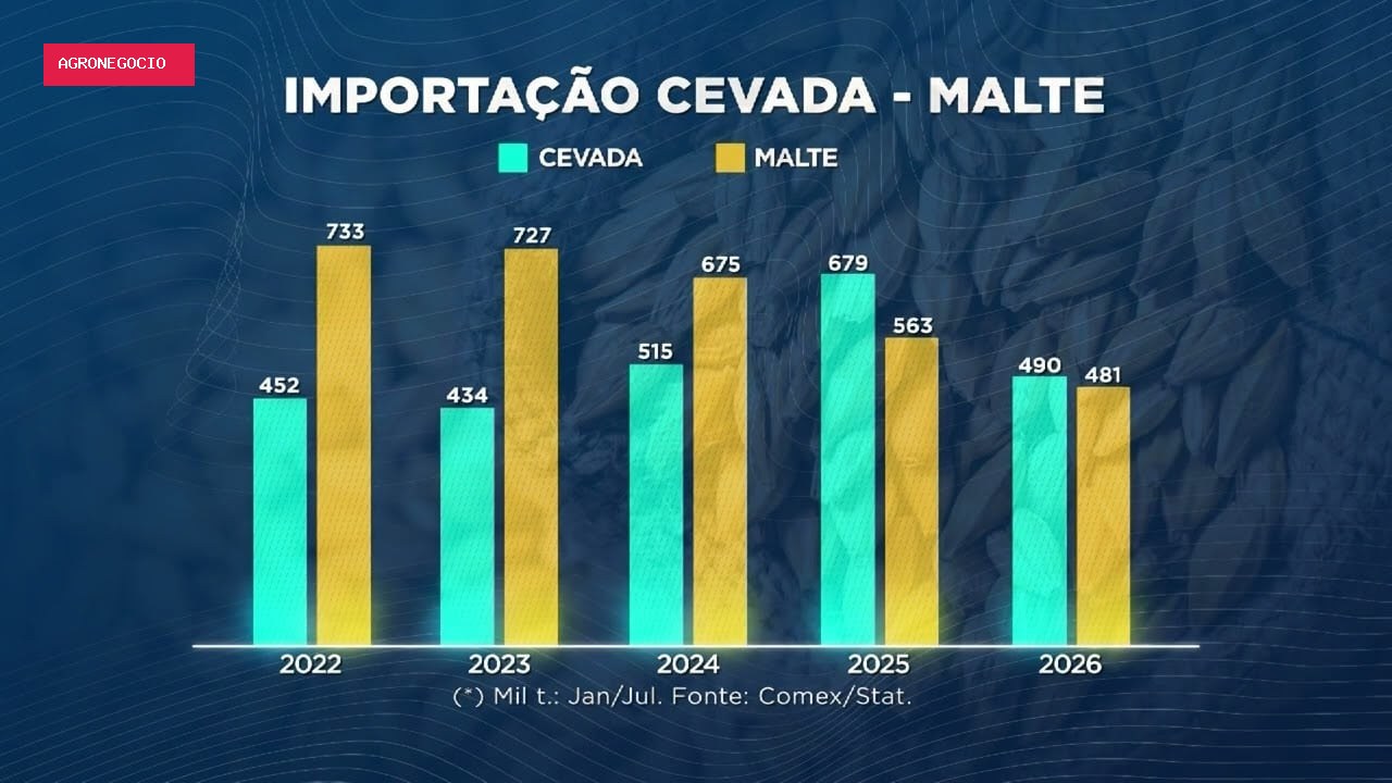Demanda por cevada cresce com impulso do mercado cervejeiro