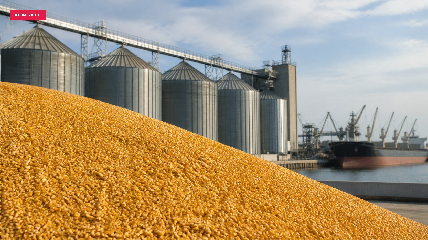 Vendas semanais de milho dos EUA somam 1,05 milhão de toneladas, informa USDA