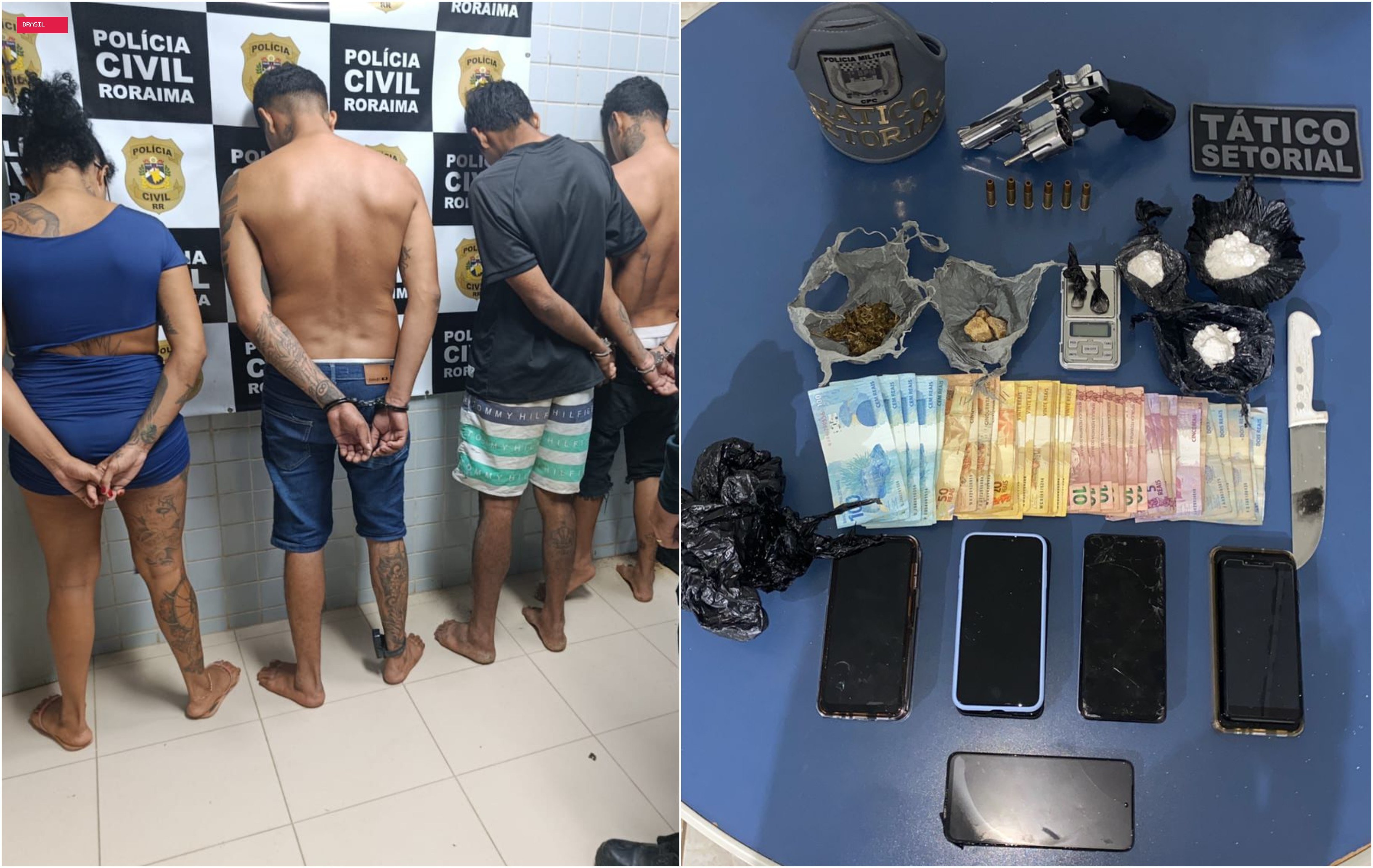 Quatro pessoas são presas por tráfico e pitbull é morto a tiros após atacar PM em Boa Vista