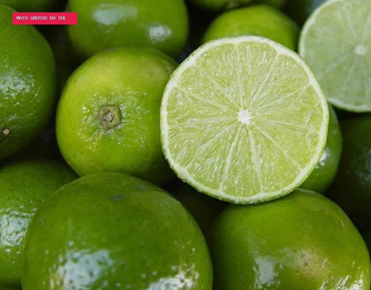 Baixa oferta mantém lima ácida tahiti valorizada, aponta CEPEA
