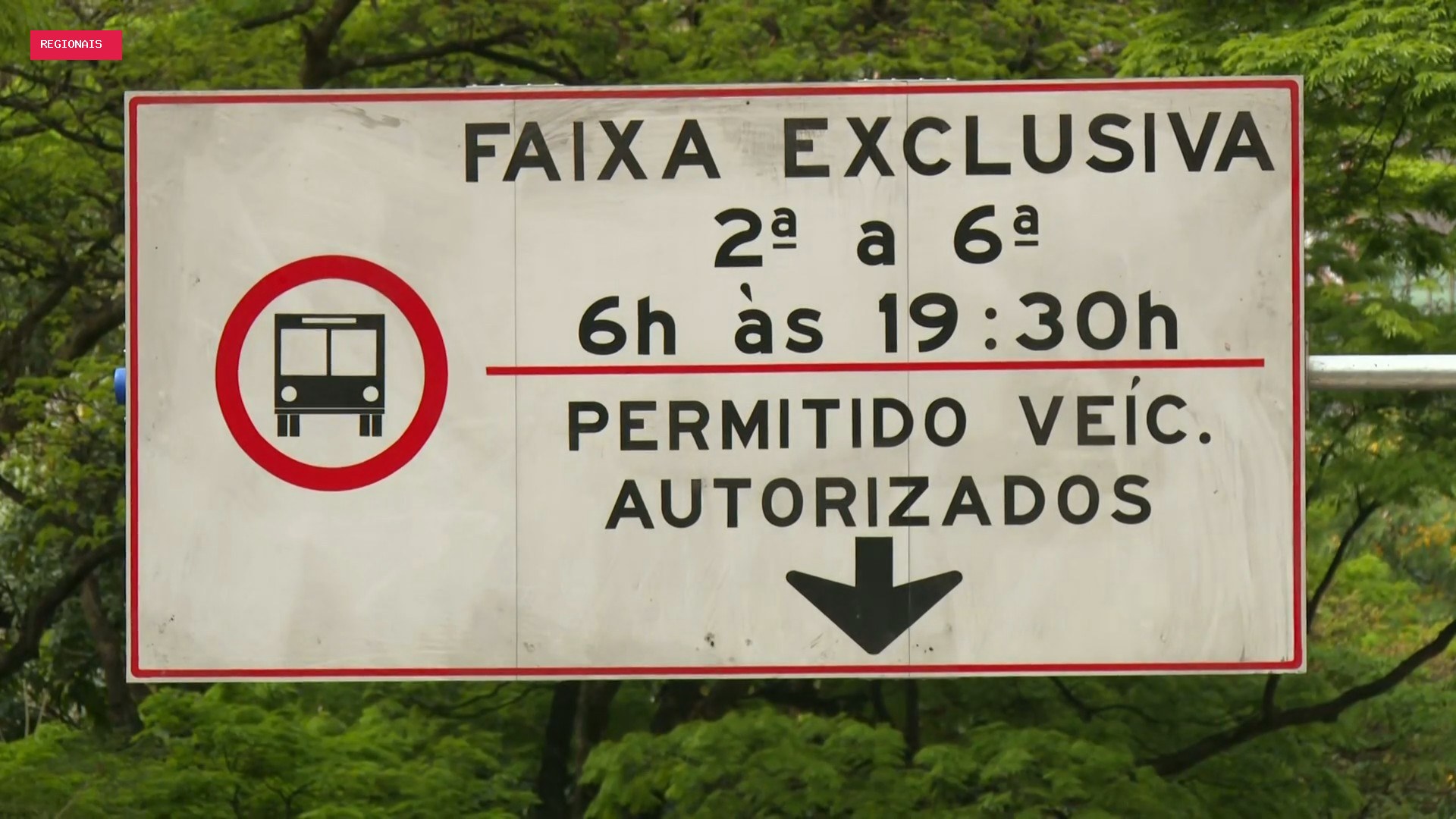 BH implanta faixa exclusiva para ônibus na Afonso Pena; saiba o que muda