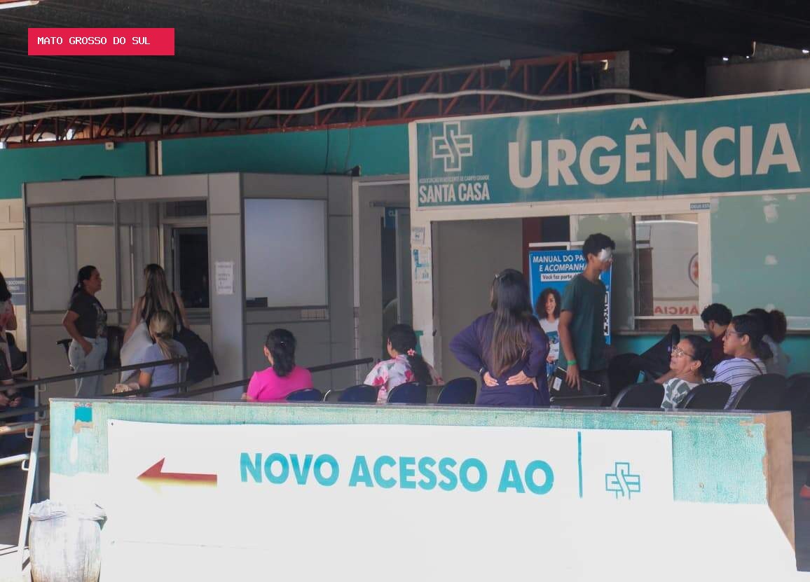 Com 1.500 animais a leilão, Santa Casa quer levantar valor para concluir reforma