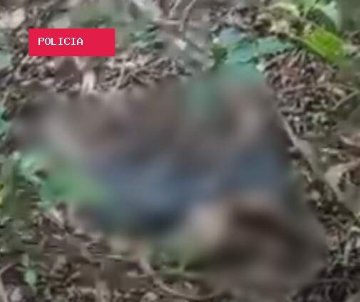 Corpo em decomposição é encontrado perto do Horto Florestal