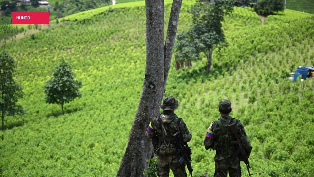 Colombian rebel group say kidnapped French Foreign Legion soldier is still alive