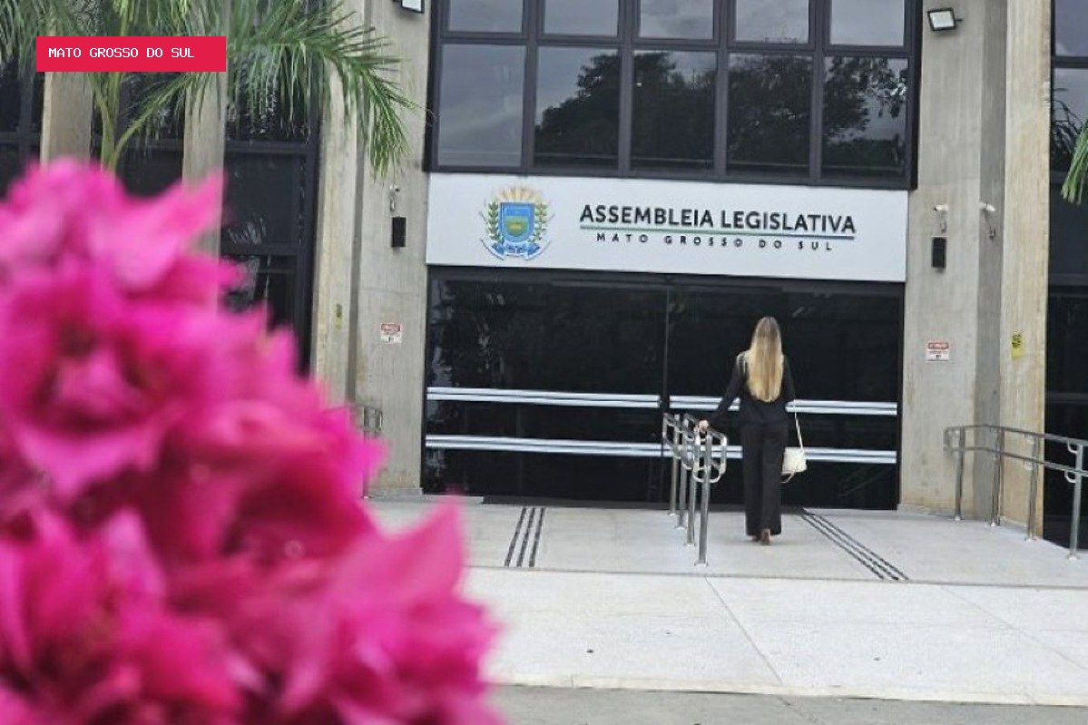 Projeto prevê pontuação extra para entidades que atendem mulheres vítimas de violência