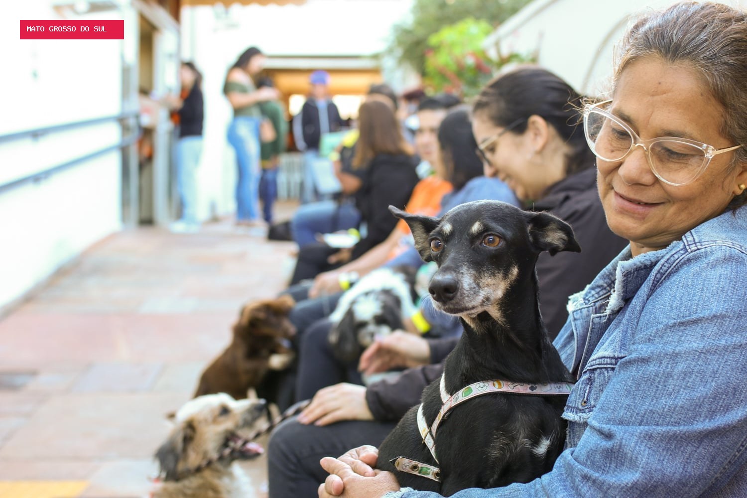 Com mudança no acesso ao atendimento, Subea leva consultório móvel ao Jardim Centro-Oeste
