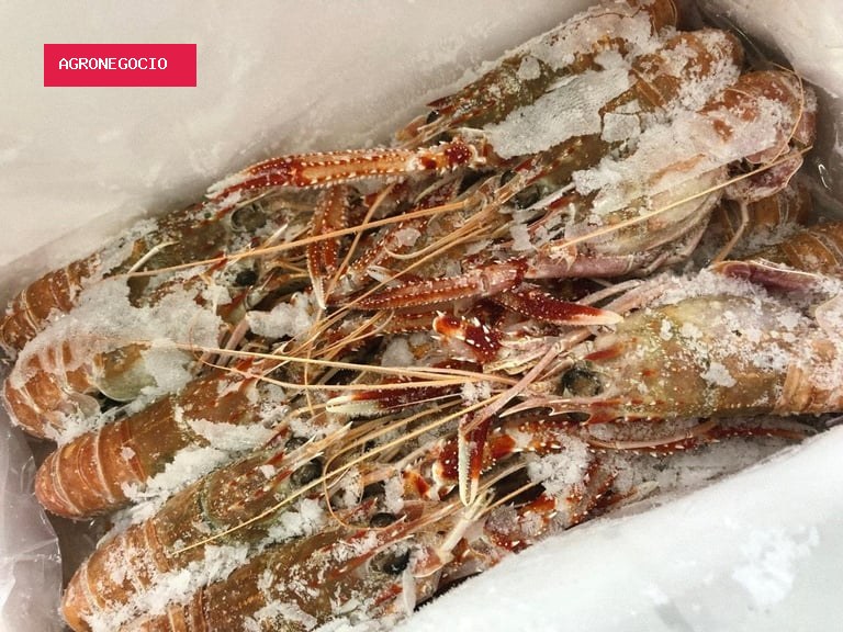 Nova regra estabelece cuidados com pescado durante transporte em embarcações