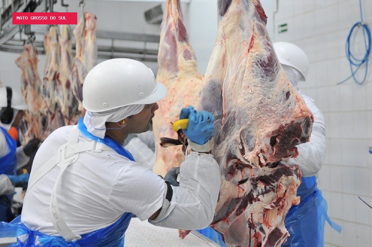 Carne bovina ganha espaço e movimenta US$ 1,17 bilhão nas exportações de Mato Grosso do Sul