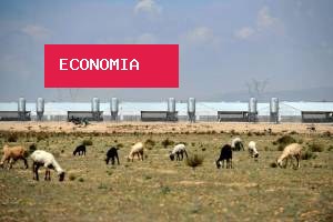 Conheça a avó de 82 anos que recusou US$ 26 mi para fazenda não virar um data center