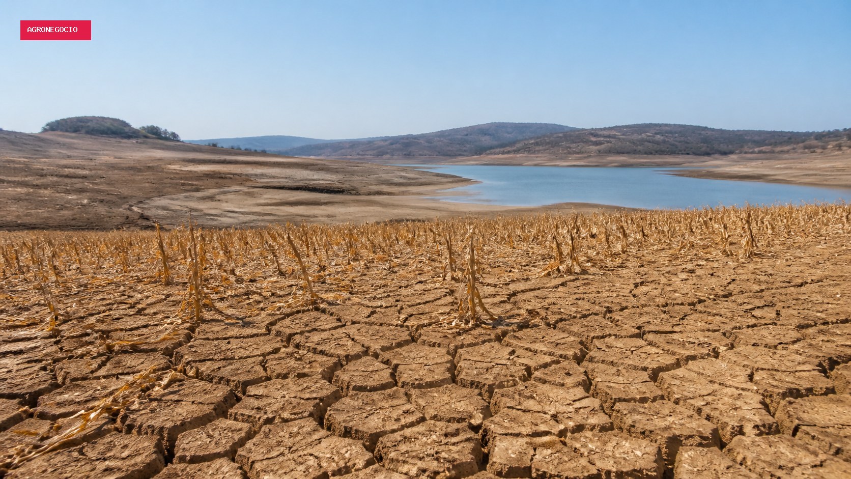 Seca avança no Brasil e no mundo e entra no centro dos debates da COP17