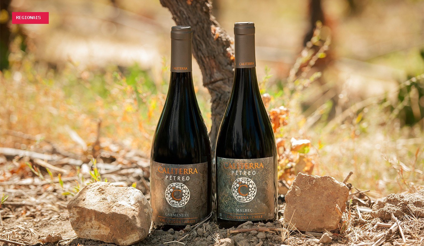 Vinho sustentável é cool: 3 vinícolas com foco no meio ambiente