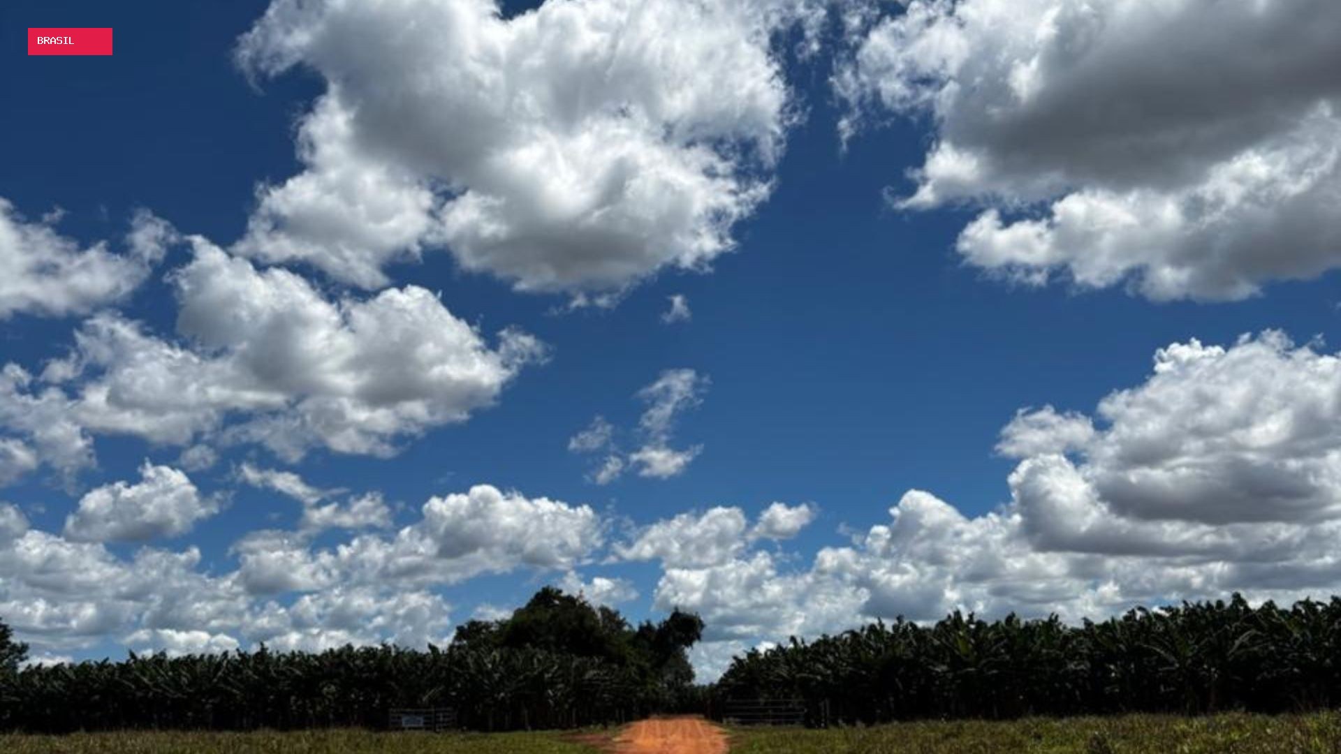 Sem possibilidade de chuva, Uberlândia e Ituiutaba têm máxima de 37 °C