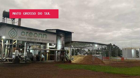 Carbono Oculto denuncia empresário que administra indústria em Dourados