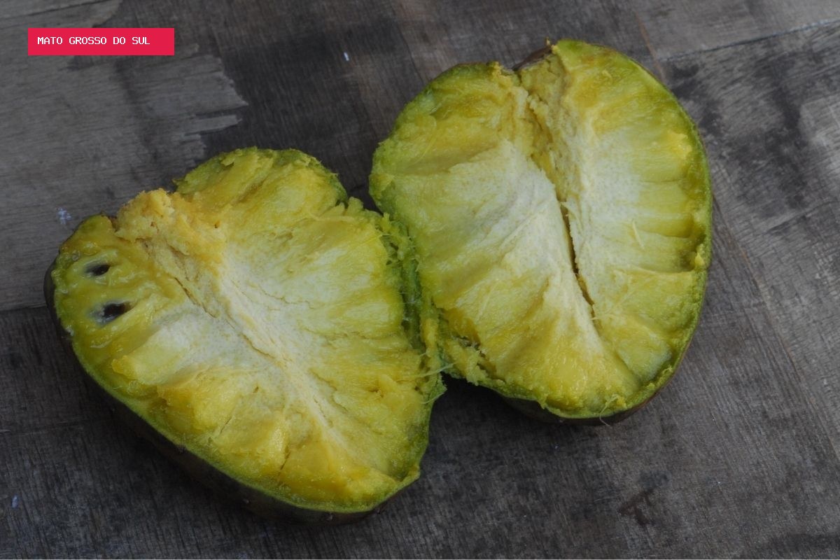 Araticum: 6 curiosidades sobre a fruta do Cerrado que amadurece em poucos dias e é muito doce