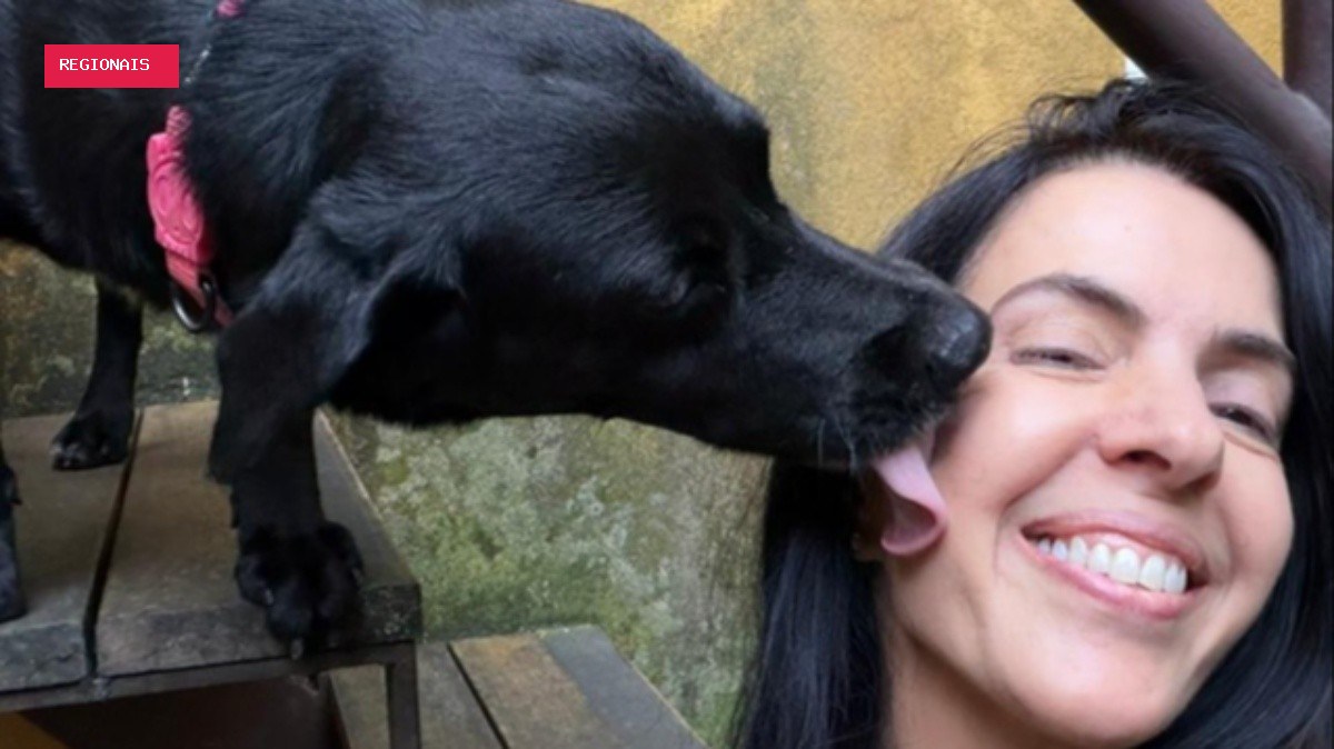 Rapel, cão resgatado de encosta na Zona Sul do Rio, ganha lar temporário: 'receber carinho e ser bem
