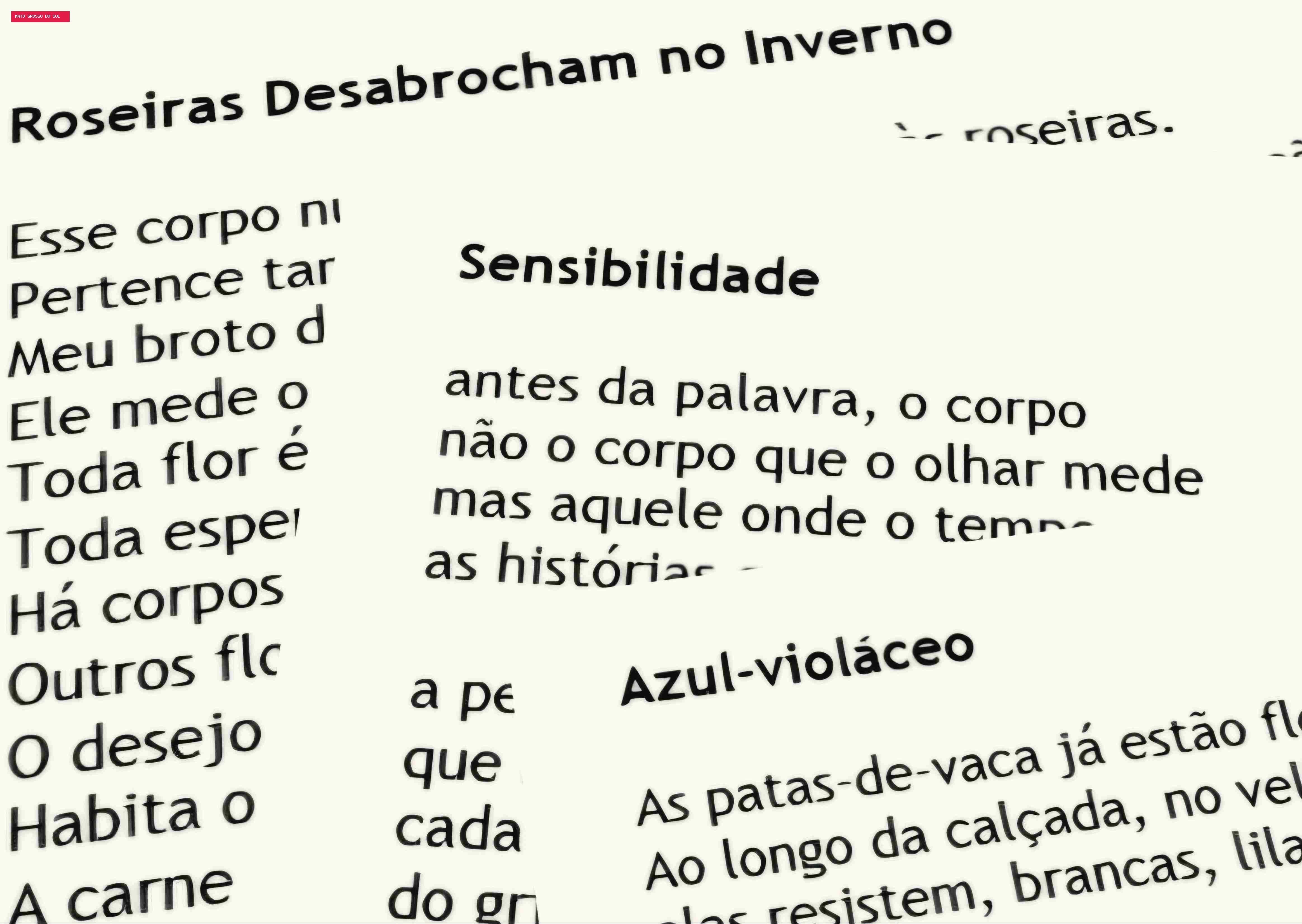 Concurso Oliva Enciso 2026 revela vencedores e premia destaques da poesia sul-mato-grossense