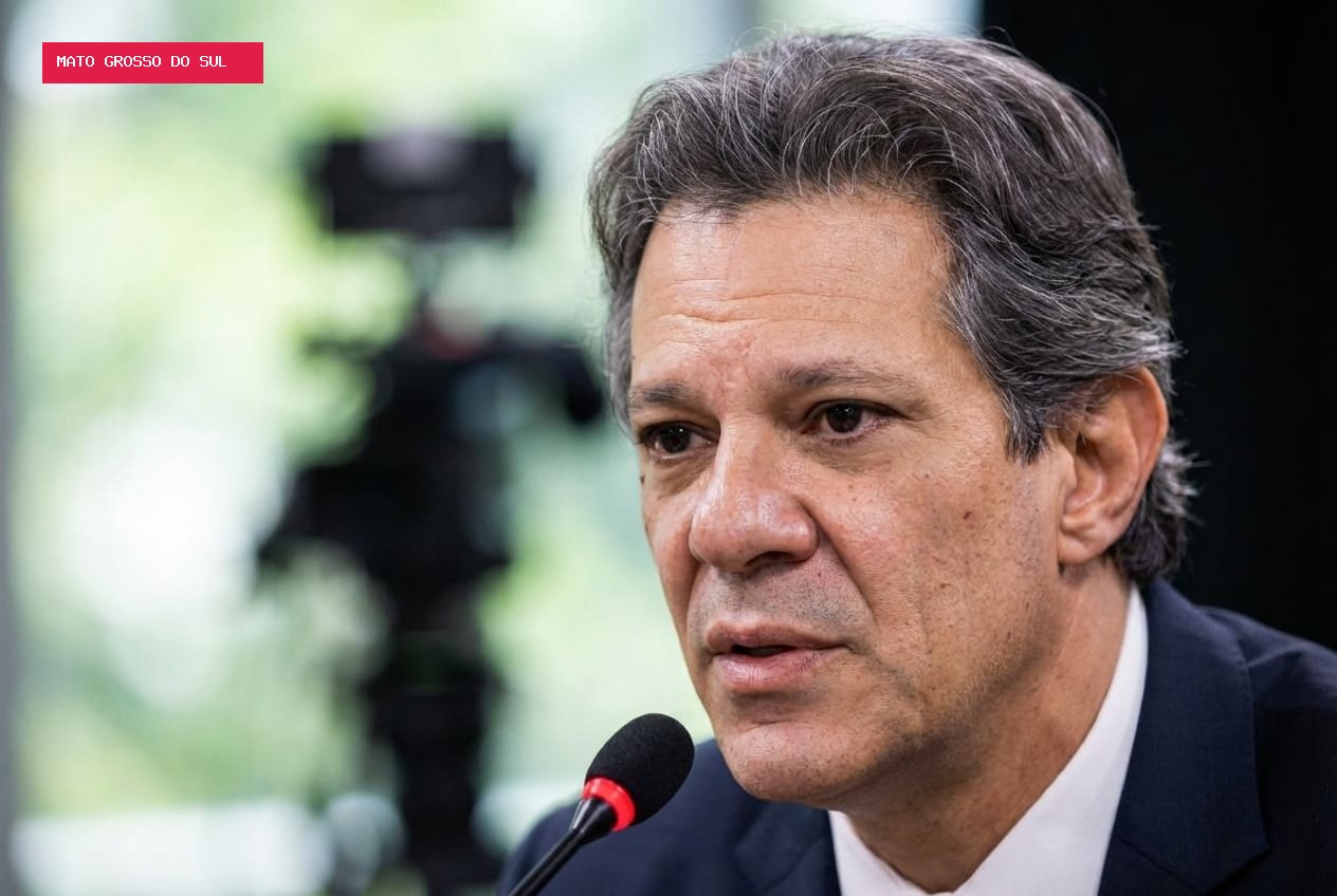 Justiça manda X remover posts falsos que ligam Haddad a atentado contra Luciano Hang