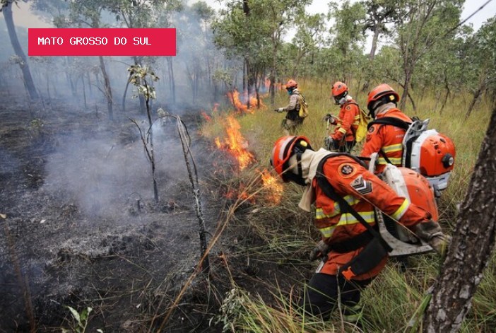 Desigualdade define capacidade de enfrentar incêndios no Pantanal