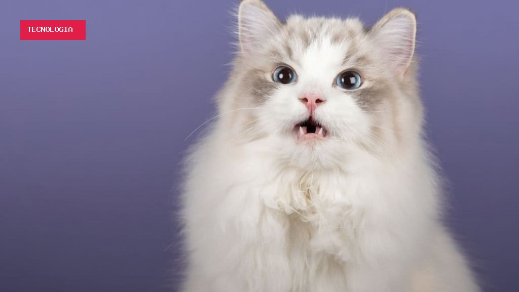 Seu gato faz cara de nojo? Entenda por que ele abre a boca após sentir cheiros