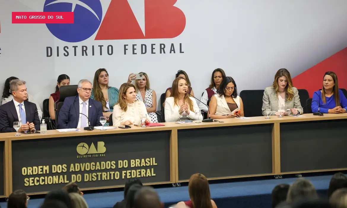 OAB-DF cria ferramenta que ajuda mulheres a identificar sinais de violência