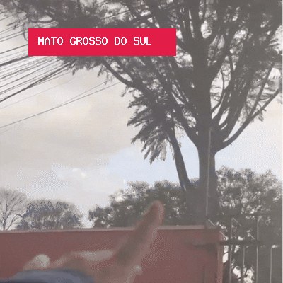 Vento forte aumenta medo de queda de árvore sobre casas no Vilas Boas