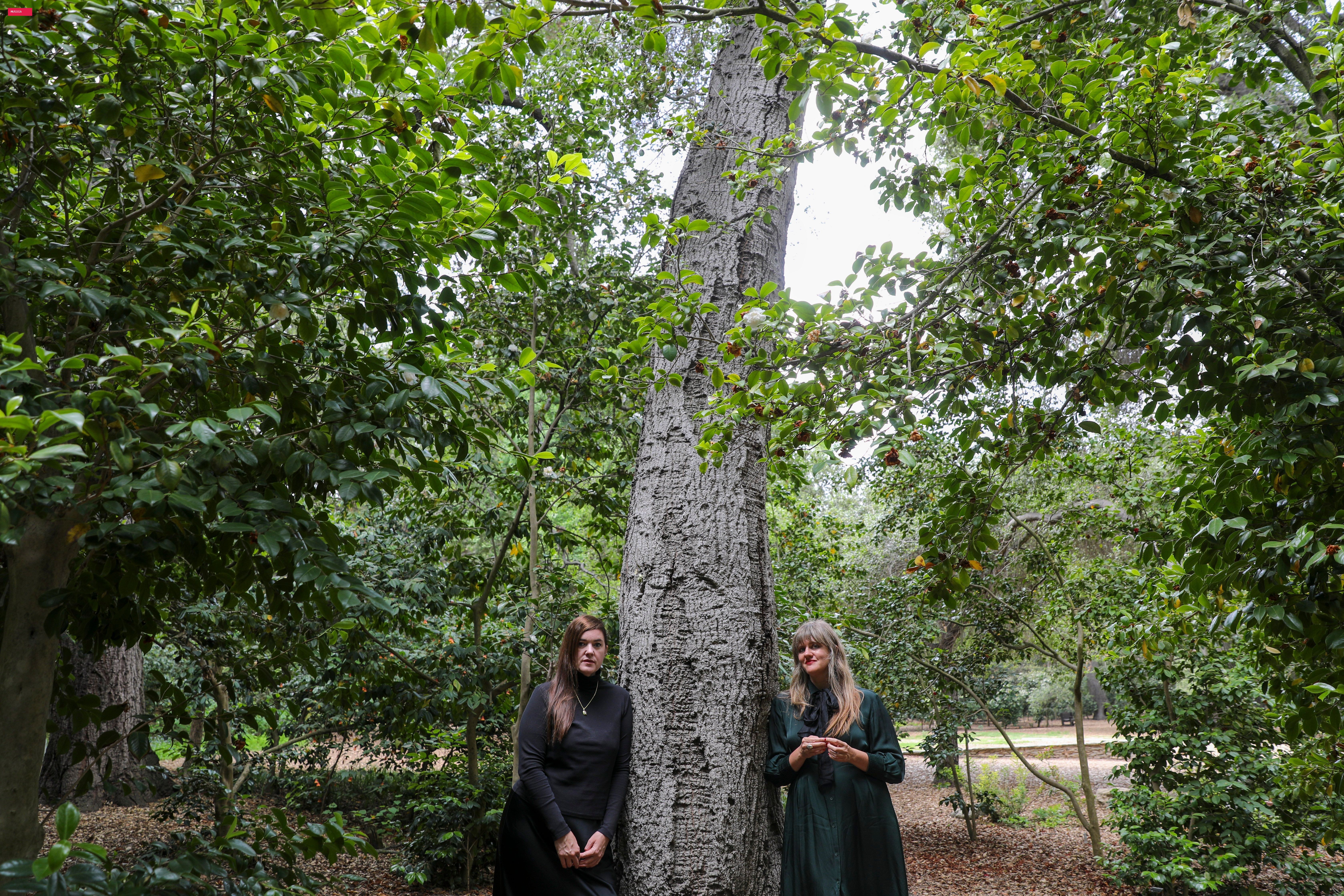Julianna Barwick and Mary Lattimore Share Songs From New Film Score