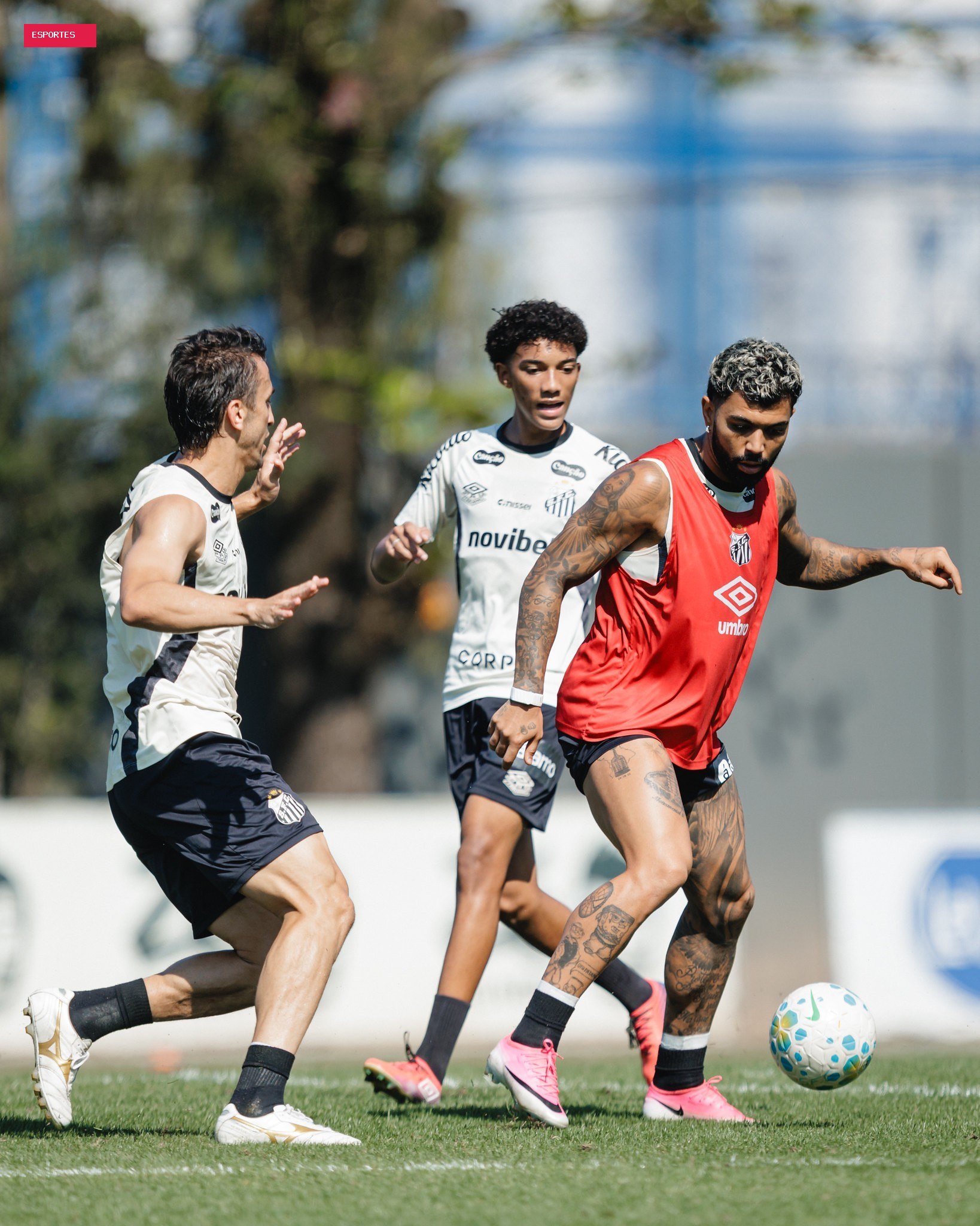 Escalação do Santos: Cuca deve manter base de time da Copa do Brasil para jogo contra o Athletico-PR