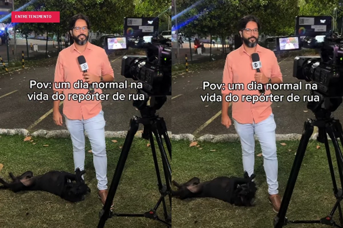 Repórter é surpreendido por cachorro durante entrada ao vivo. Veja